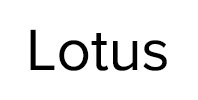 Ремонт стиральных машин Lotus в Высоковске